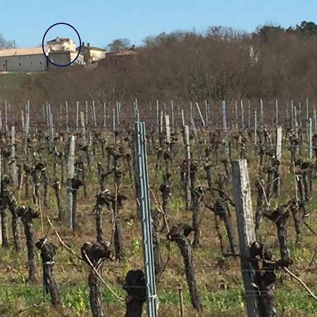 Superbe Gite A La Campagne Dans Le Bordelais Saint-Vivien-de-Blaye ภายนอก รูปภาพ