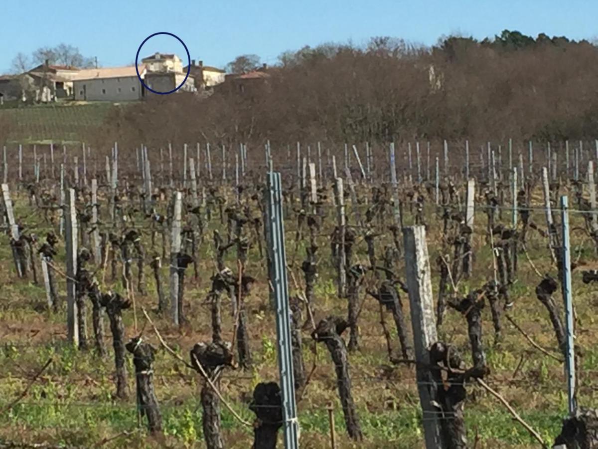 Superbe Gite A La Campagne Dans Le Bordelais Saint-Vivien-de-Blaye ภายนอก รูปภาพ